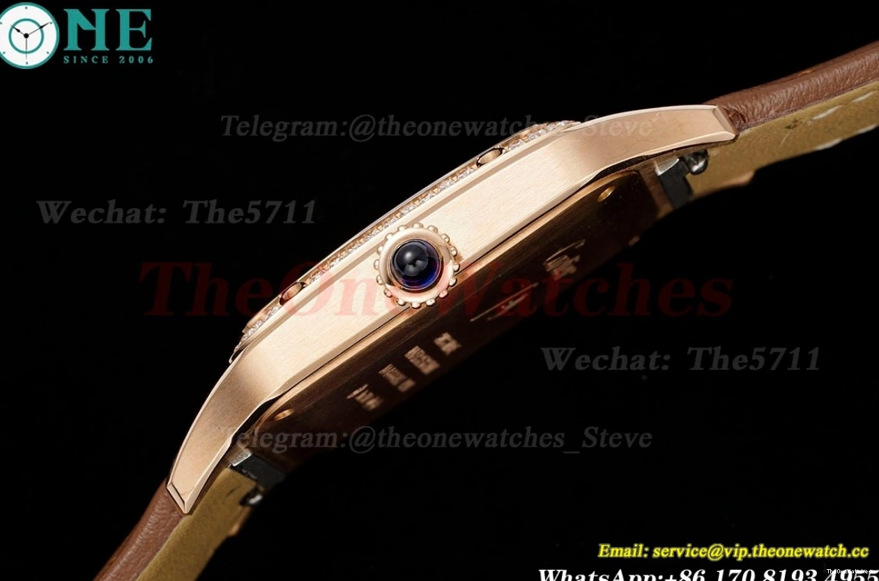 Dumont Dial Silver Brown Santos Quartz LE RG AF Dia 0313